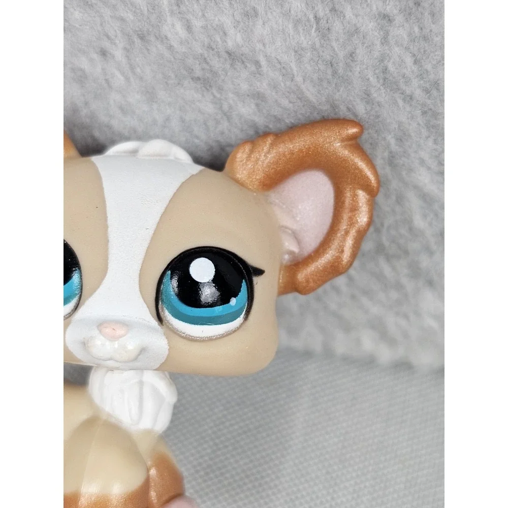 Littlest Pet Shop LPS #1082 Brown White Shimmer Chihuahua Journal Dog, Blue Eyes